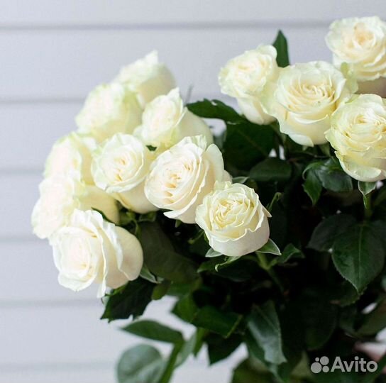 51 Роза, Букеты Цветы Розы 25 101 501 1001