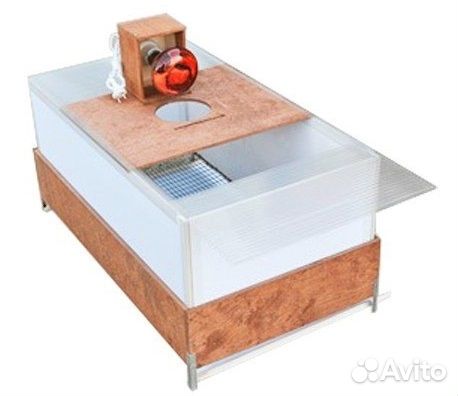 Брудер для перепелов, цыплят