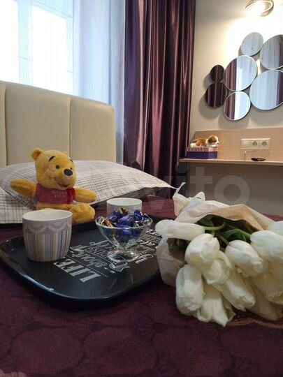 1-к. квартира, 45,7 м², 17/17 эт.