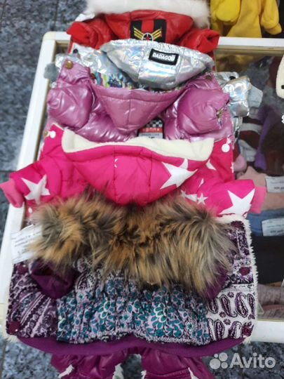 Комбинезоны, куртки, Худи, свитера для собак