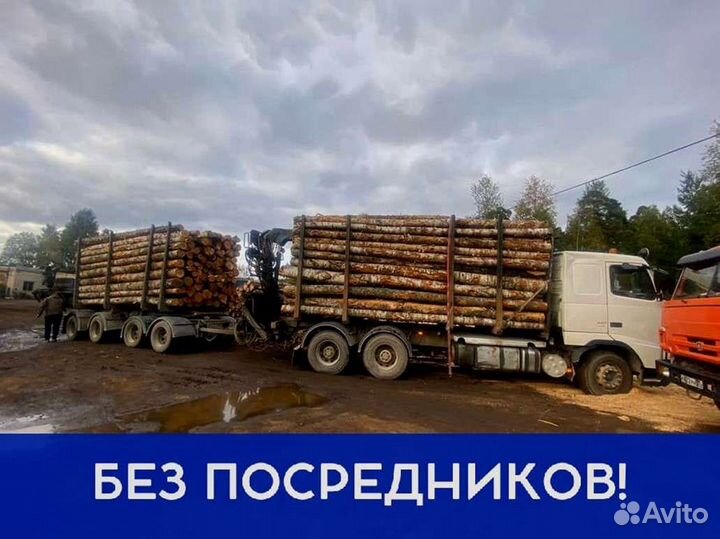 Дрова на дачу