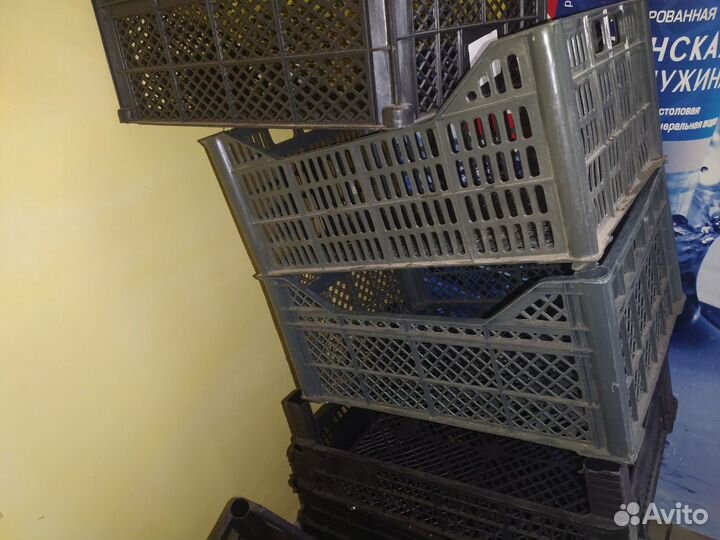 Ящики для рассады