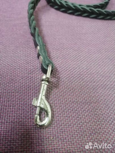 Ошейник и поводок