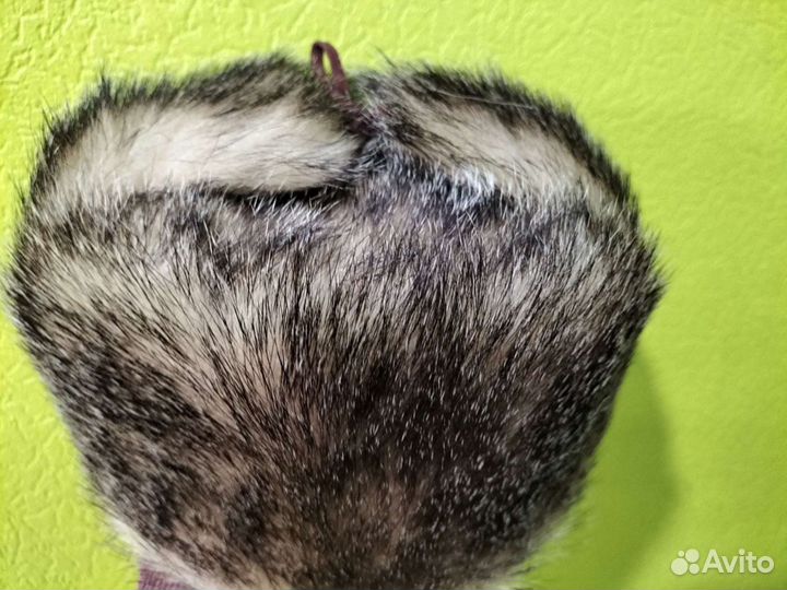 Мужская шапка ушанка