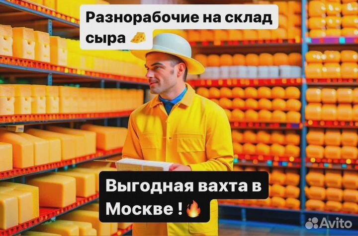 Вахта Москва. Производство сыра