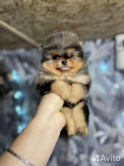 Мальчишечка