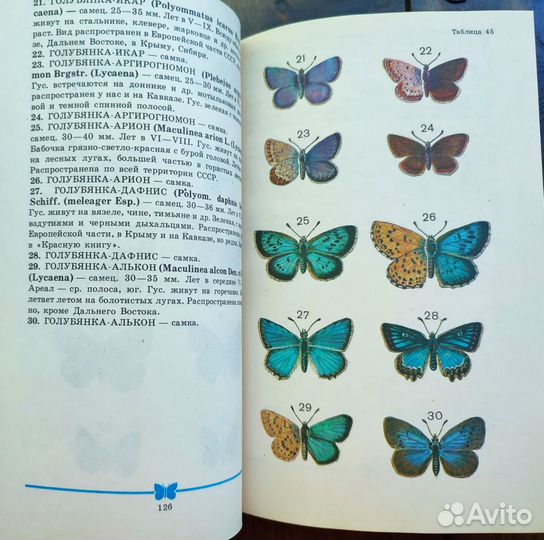 Книга атлас определитель бабочек
