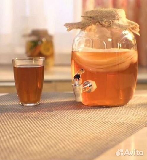 Чайный гриб