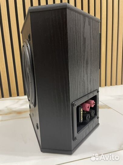 Центральный канал Tannoy 623