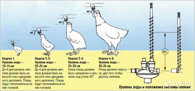 Нипельные поилки в сборе