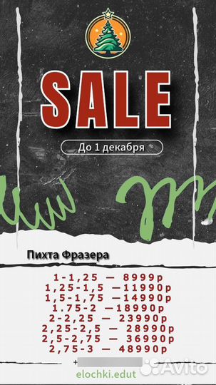 Пихта Фразера