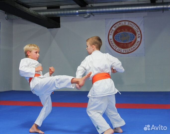 Каратэ Шотокан