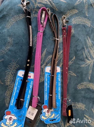 Поводки и ошейники для собак