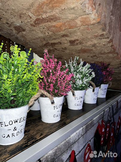 Цветы в металических горшках