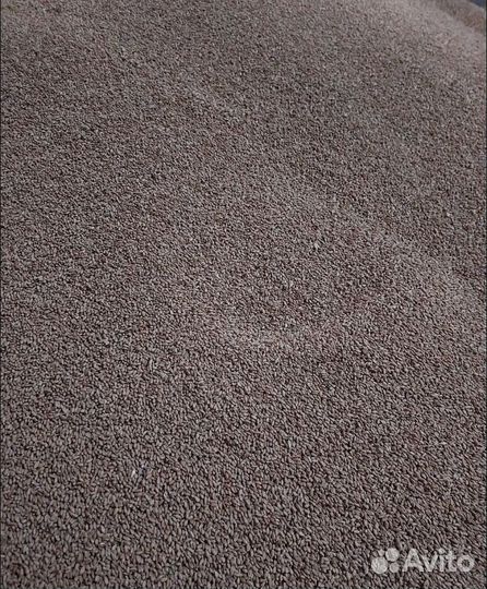 Кормовой ячмень, Фуражная пшеница на корм