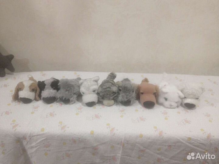 Мягкие игрушки щенки и котята