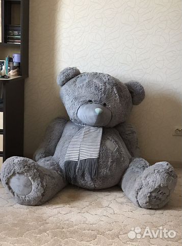 Мишка Teddy