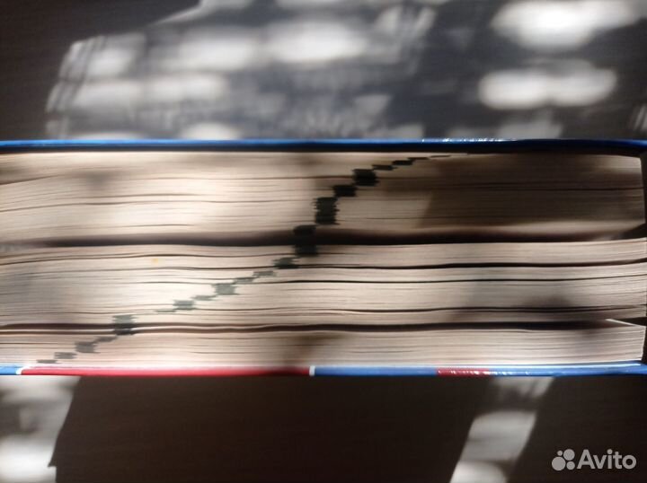 Большой орфографический словарь русского языка