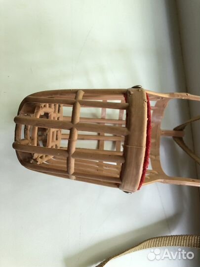 Намордник и ошейник для собак