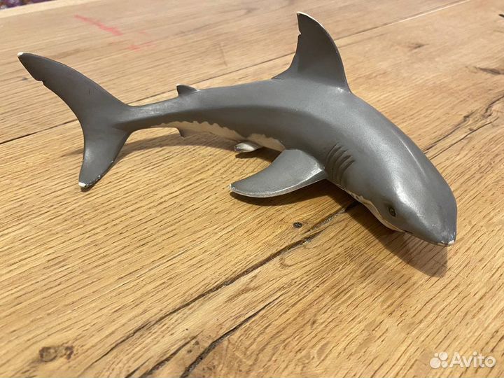 Большая Косатка и Кашалот большой