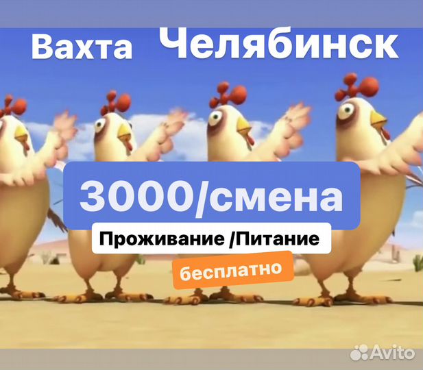 Вахта разнорабочий на Птицефабрике
