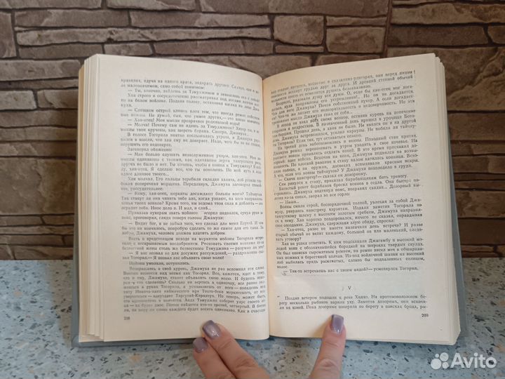 Исай Калашников Жестокий век