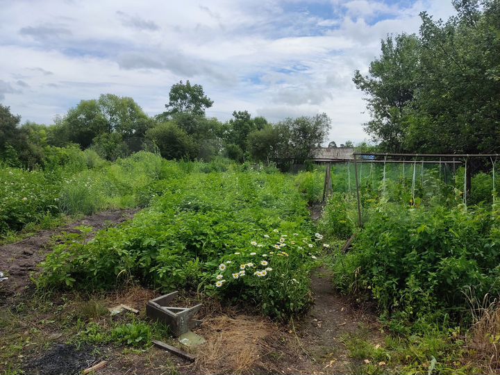 Участок 13,7 сот. (ИЖС)