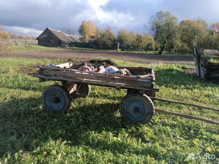 Конная телега