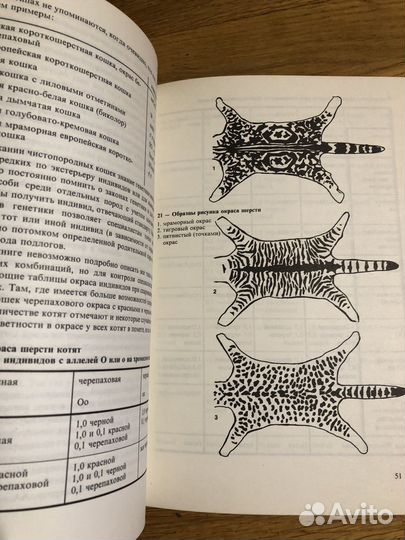 Книга Атлас пород кошек