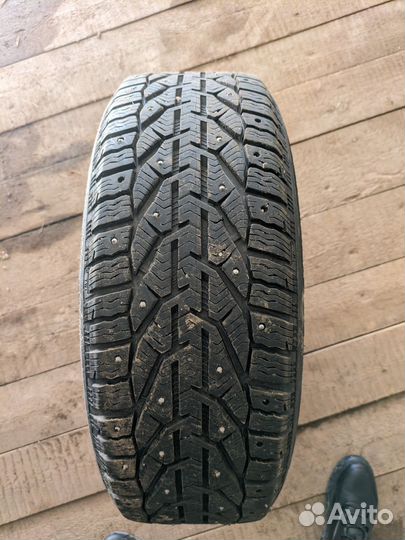Tigar Ice 205/55 R16