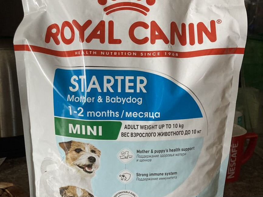 Корм для собак royal canin starter mini