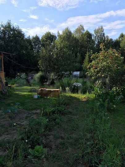 Участок 15 сот. (СНТ, ДНП)