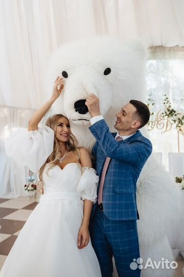 Ростовые медведи(Белый медведь и тедди)