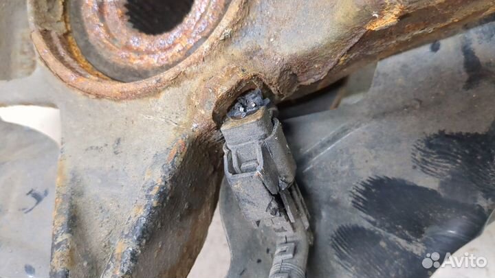 Ступица (кулак, цапфа) Ford Focus 4 2018, 2018