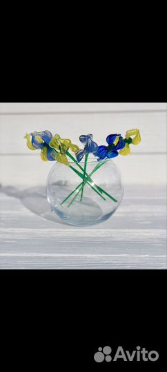 Ирисы стеклянные
