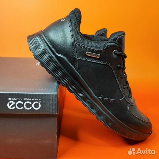 Ecco Biom