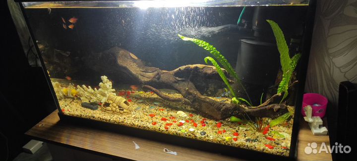 Аквариум 90 литров