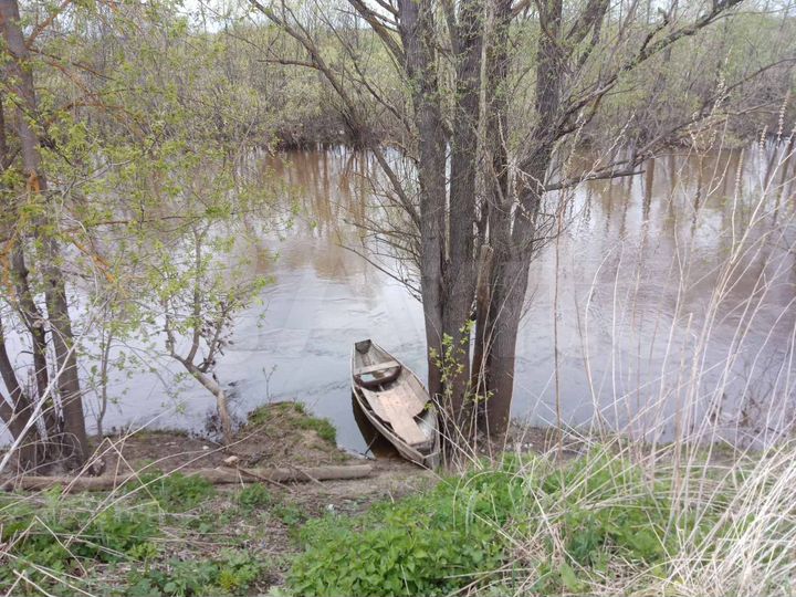 Участок 15 сот. (ИЖС)