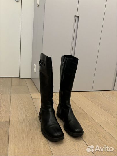 Сапоги Zecchino d'oro 39