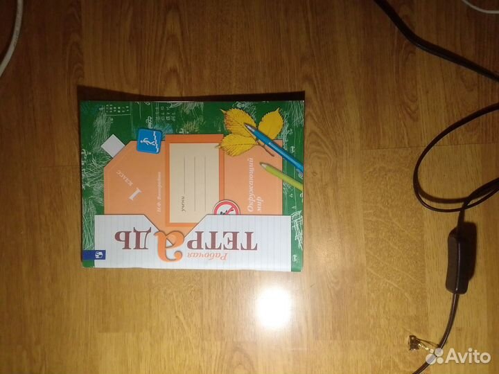 Рабочая тетрадь по окружающему миру 1 класс