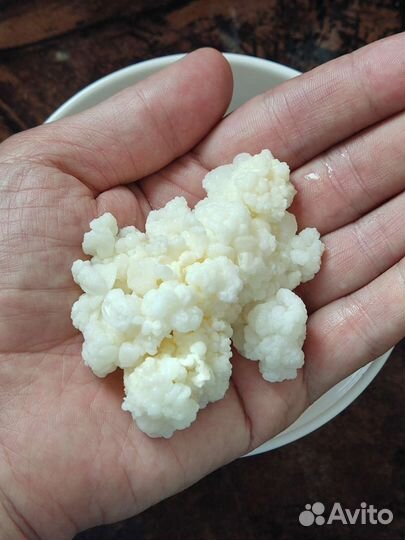 Молочный грибок индийских йогов