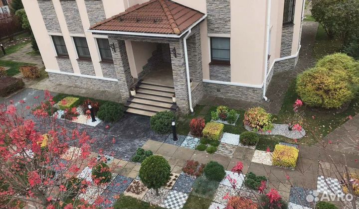 Сосна обыкновенная