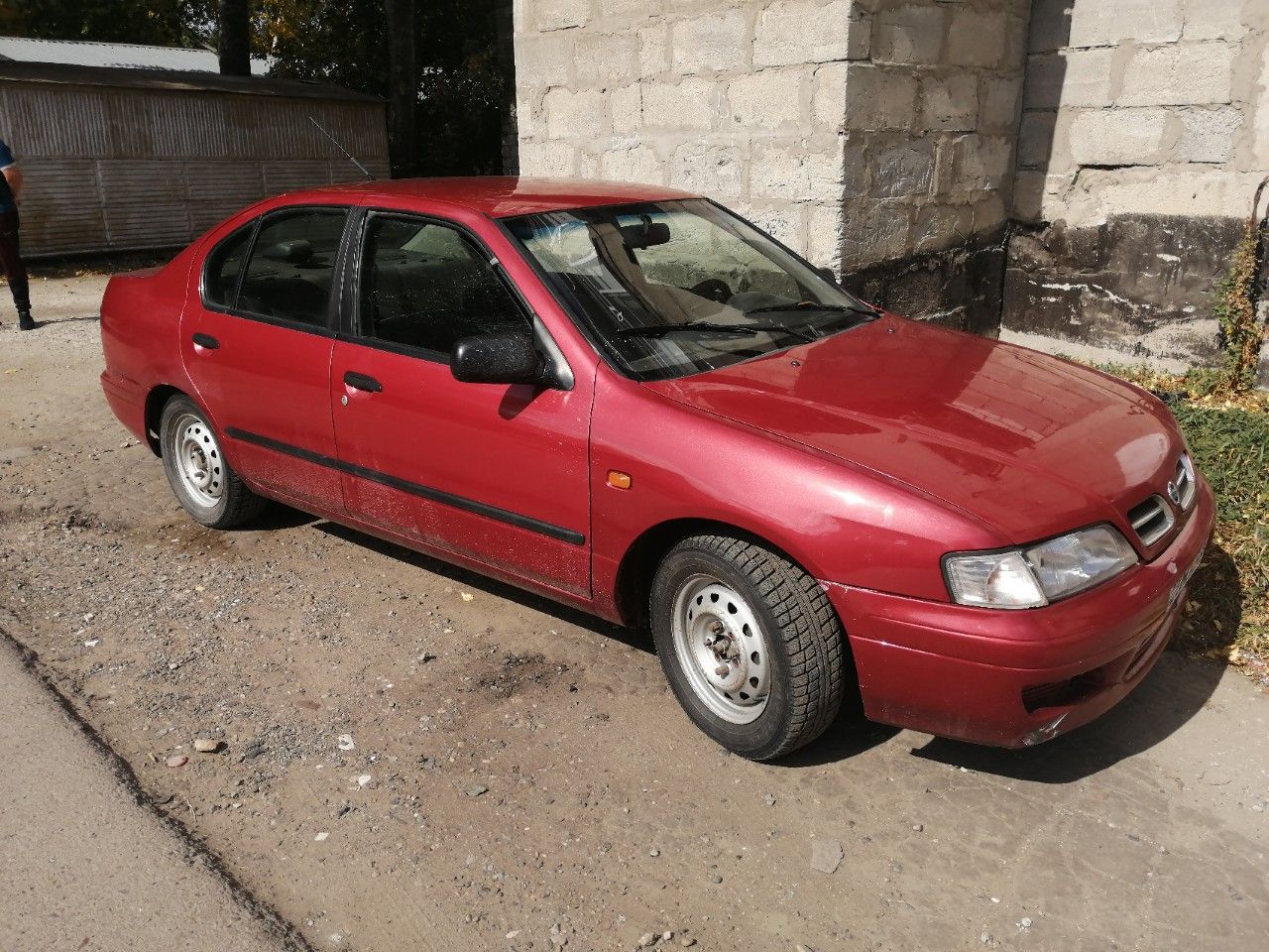 Nissan Primera: фото владельца