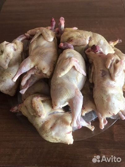 Мясо перепелов