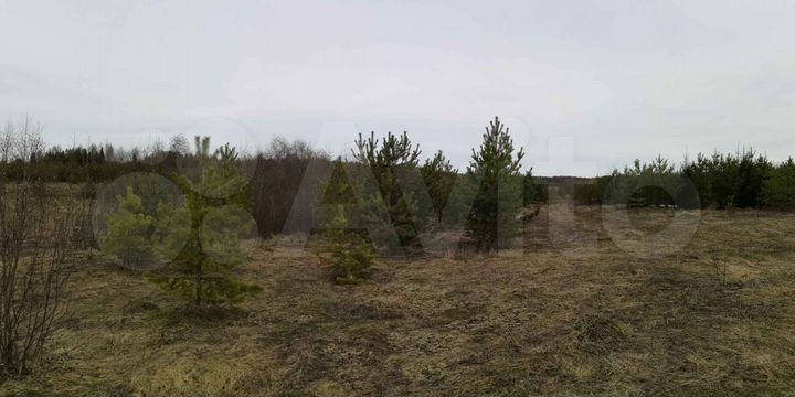 Участок 1,65 га (ИЖС)