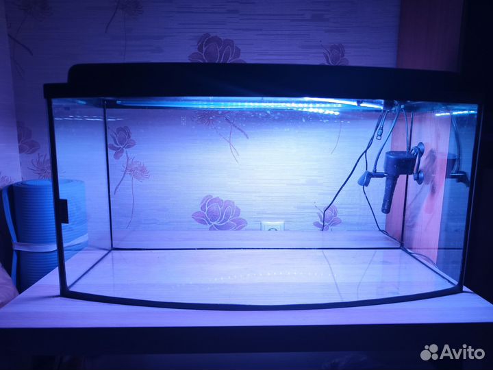 Террариум + оборудование