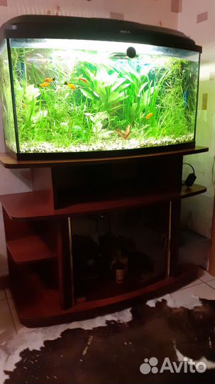 Аквариум