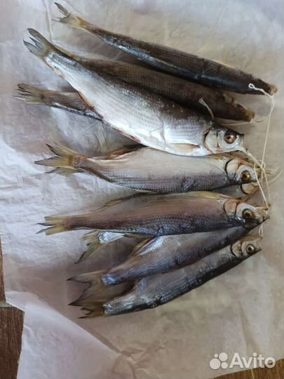 Рыба шамайка вяленая