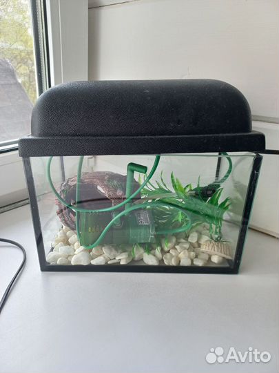 Аквариум