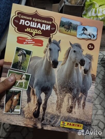 Альбомы панини